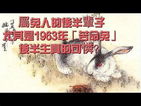 1963 年生肖|1963年是什么生肖的人 1963年的人属什么